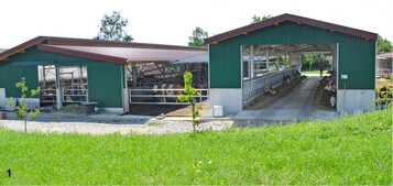 Der mehrhäusige Offenstall mit integriertem Laufhof zwischen der in der Mitte gelegenen Futterhalle und jeweils einer dreireihigen Liegehalle mit automatischem Melksystem in Ost-West-Ausrichtung.