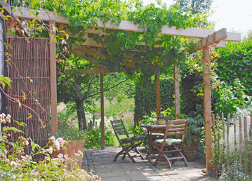 Schattiger Sitzplatz unter einer von echten Weinreben berankten Anlehnpergola.