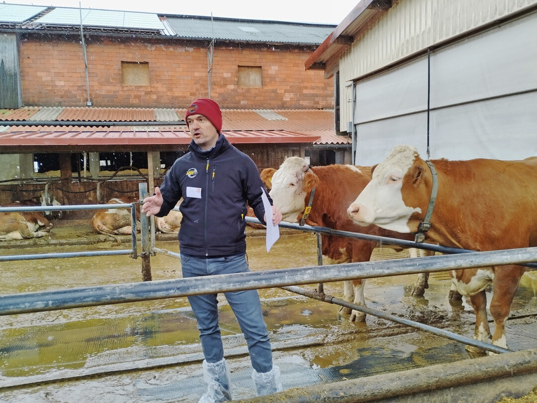 2 Wie sich Typisierungsergebnisse richtig einordnen lassen und für die Anpaarung der Fleckviehkühe in der Herde des Milchhofes genutzt werden können, erläuterte Christian Neuhauser, Zuchtberater bei der RBW, den Besuchern beim Rundgang über den Fleckviehzuchtbetrieb.