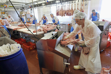 In der EU ist die Fleischproduktion gewachsen. Besonders zugelegt hat die Erzeugung von Schweinefleisch.