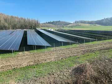 Fotovoltaik (PV)-Freiflächenanlage in der Natur.