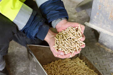 Die gestiegene Nachfrage nach Holzpellets hat die Preise mit nach oben gezogen.