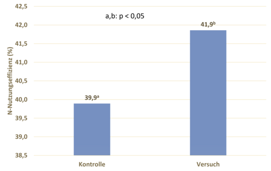 Abb. 3: N-Nutzungseffizienz der Kontroll- und AS-Gruppe (p<0,05)