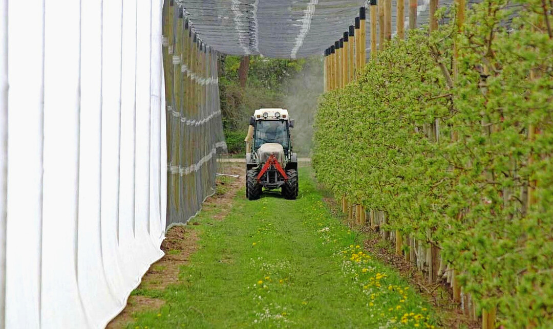 Vertikale Netze am Rand von Obstanlagen tragen zur Minderung der Abdrift bei. In einer Anlage des LTZ Augustenberg mit Hagelschutznetz wurden vertikale Netze mit verschiedenen Maschenweiten (vorne feinmaschig, hinten grobmaschig) getestet.