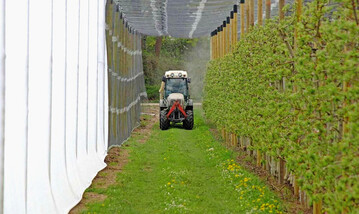 Vertikale Netze am Rand von Obstanlagen tragen zur Minderung der Abdrift bei. In einer Anlage des LTZ Augustenberg mit Hagelschutznetz wurden vertikale Netze mit verschiedenen Maschenweiten (vorne feinmaschig, hinten grobmaschig) getestet.