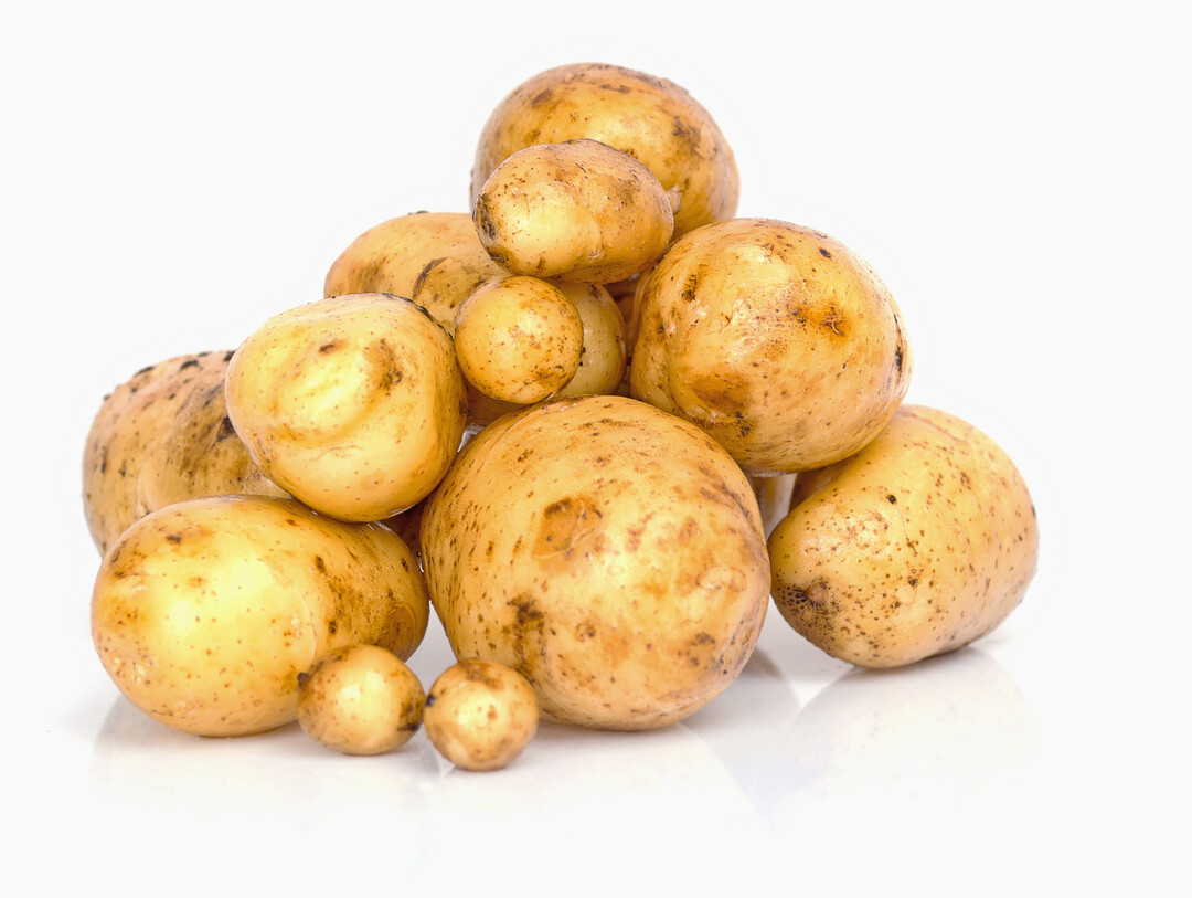 Kartoffeln wurden 2024 deutlich teurer.