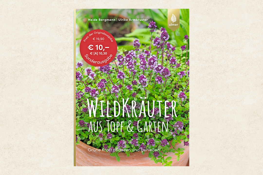 Wildkr�uter aus Topf und Garten