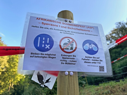 Maßnahmen um die Verbreitung der Afrikanischen Schweinepest zu verhindern.