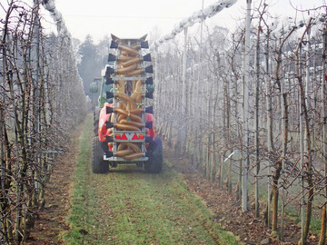 Das vergangene Jahr mit einem extrem nassen Mai und Juni hat gezeigt, wie wichtig es ist, einen Schorfbefall vor allem in der Prim�rphase zu verhindern.