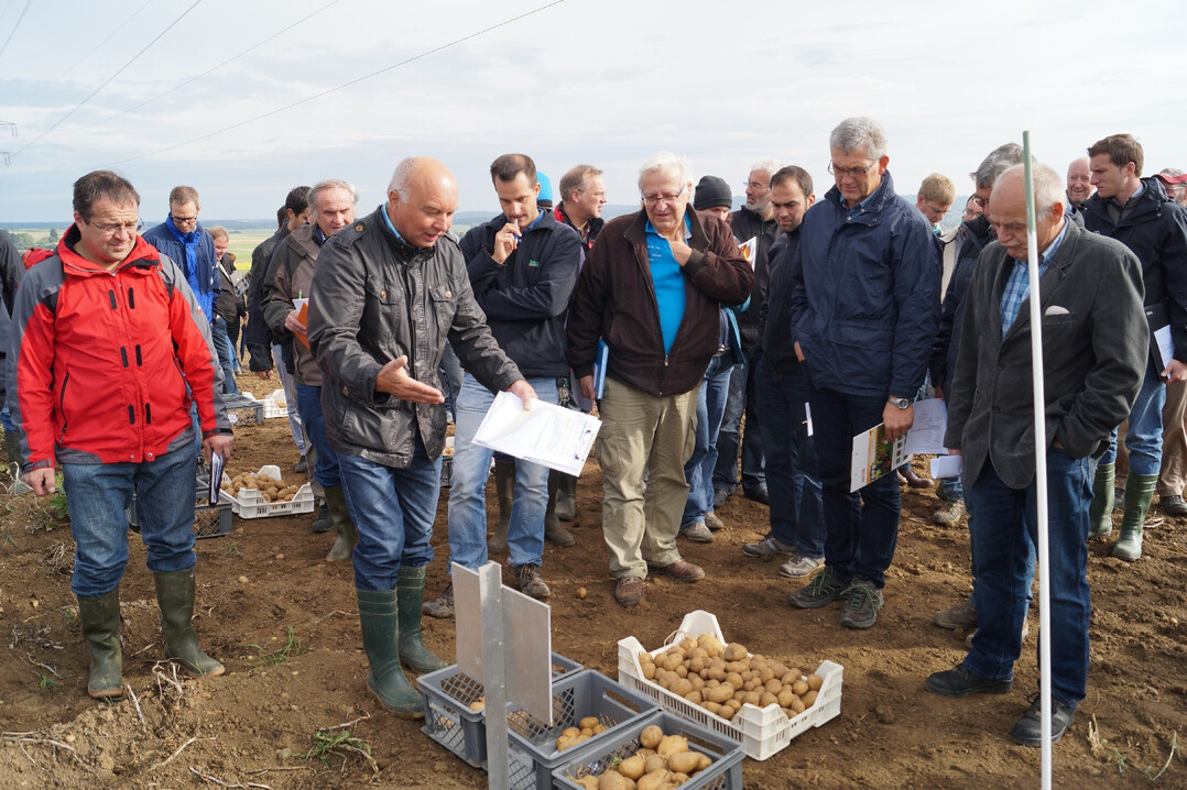 Proberodung am LTZ, Au�enstelle Donaueschingen. In Praxisversuchen am LTZ wurden Wege zum Bek�mpfen oder Vergr�men des Drahtwurms erprobt.