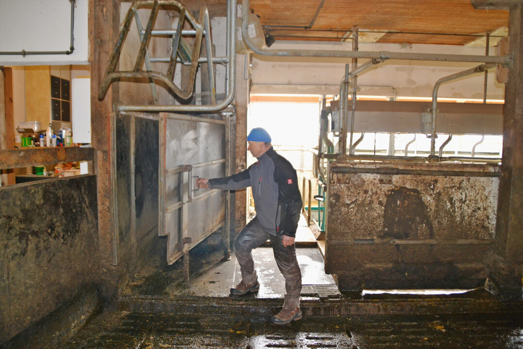 5 Wird im Wartebereich vor den automatischen Melksystemen ein Querkanal eingebaut, dann ist dort der ideale Platz f�r den Mistabwurf der Schieber aus den Laufg�ngen. Das zeigt das Beispiel des Betriebes von Tobias und Konrad Hermann.