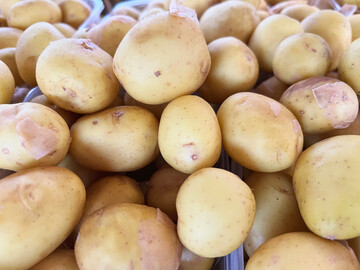 Bis zum Stichtag 15. Februar 2025 waren in den Niederlanden rund 30 Prozent der Ernte bereits vermarktet. Das entspricht in etwa dem Niveau der Vorjahre. 