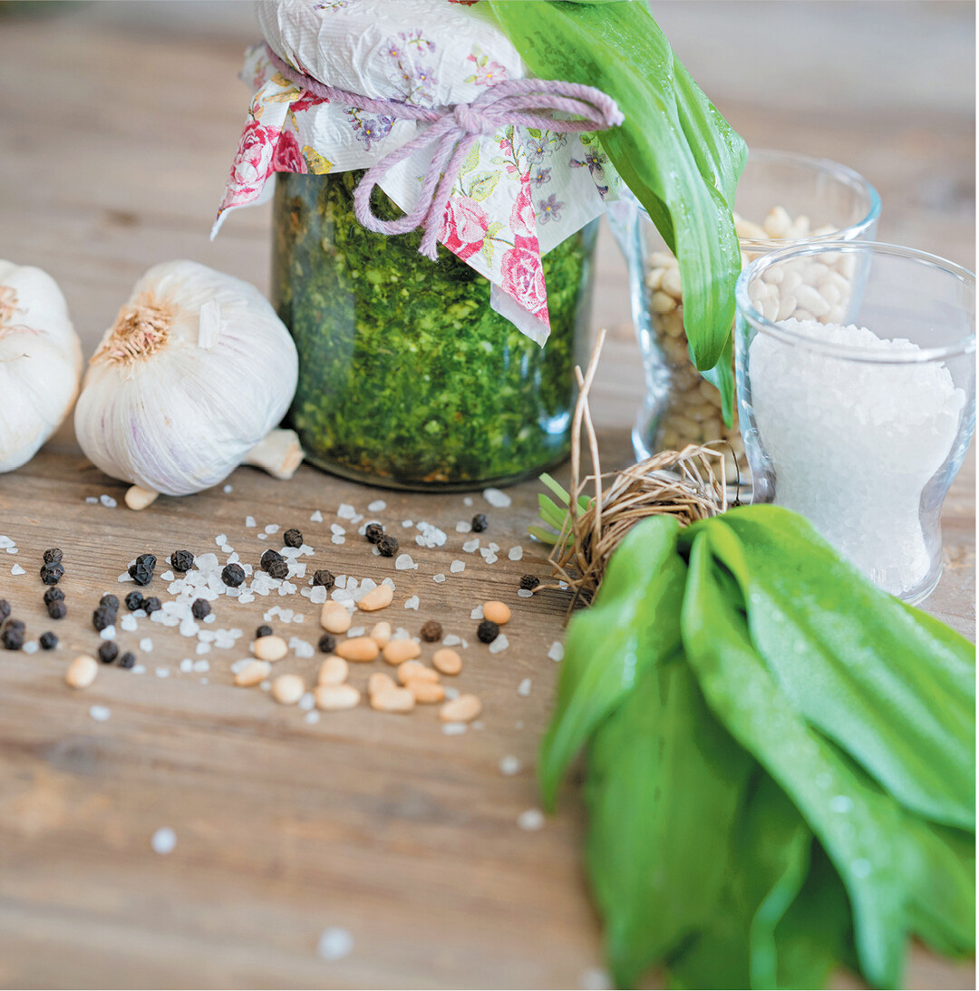 Jetzt �berzieht der B�rlauch wieder feuchte Bachr�nder oder H�nge mit einem gr�nen Teppich. Wie auch beim Knoblauch enthalten seine �therischen �le Schwefelverbindungen, die unseren Stoffwechsel anregen und das Immunsystem st�rken. Frische B�rlauchbl�tter eignen sich vor der Bl�te zum Herstellen von w�rzigem Pesto. Dazu je ein Drittel B�rlauch, Pinienkerne (oder Waln�sse) und Oliven�l mit, nach Belieben, K�se, wie Pecorino oder Parmesan, Salz und Pfeffer p�rieren und in Gl�schen abf�llen.