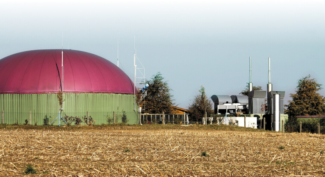 Biogasanlagen mit Eigenstromverbrauch k�nnen sich rechnen.