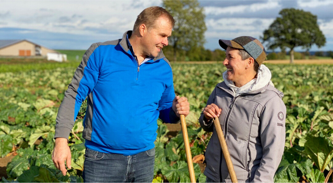 Sabine und Thomas Palm aus Schrozberg haben vor zwei Jahren mit dem Rhabarberanbau Neuland betreten.
