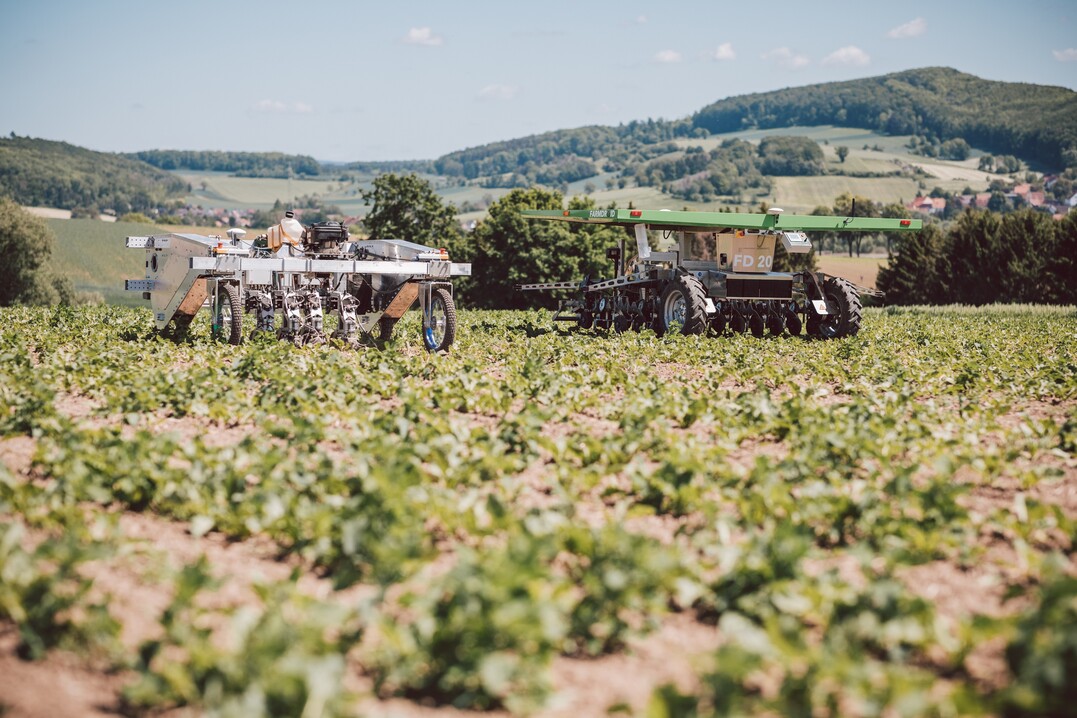   Unkrautroboter im Einsatz