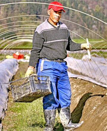 Saisonarbeitskräfte brauchen gute Arbeitsbedingungen und Unterbringungen. Foto: agrarfoto.com