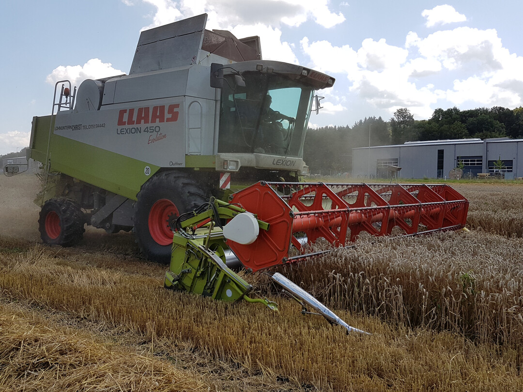 Trumps Z�lle d�rften das Brot bei uns nicht teurer machen: Beim Getreideanbau ist man in der EU gut aufgestellt. 