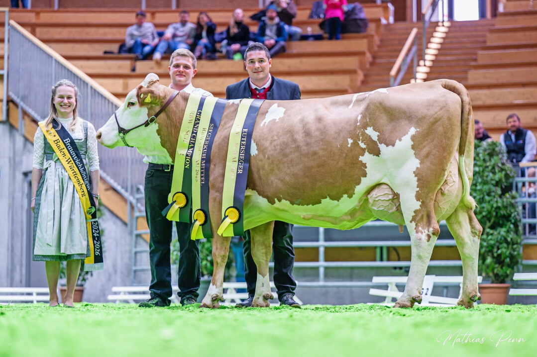 2 Zum Grand Champion Fleckvieh gek�rt wurde die Edelstein-Tochter My-Life aus der Zucht von Joachim Keller aus Allmendingen.