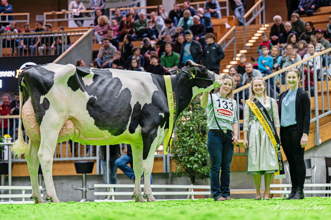 3 Grand Champion bei den Holsteink�hen wurde die Stars-Tochter Mox Argentina aus der Zucht der Markus und Kerstin Mock GbR aus Markdorf.