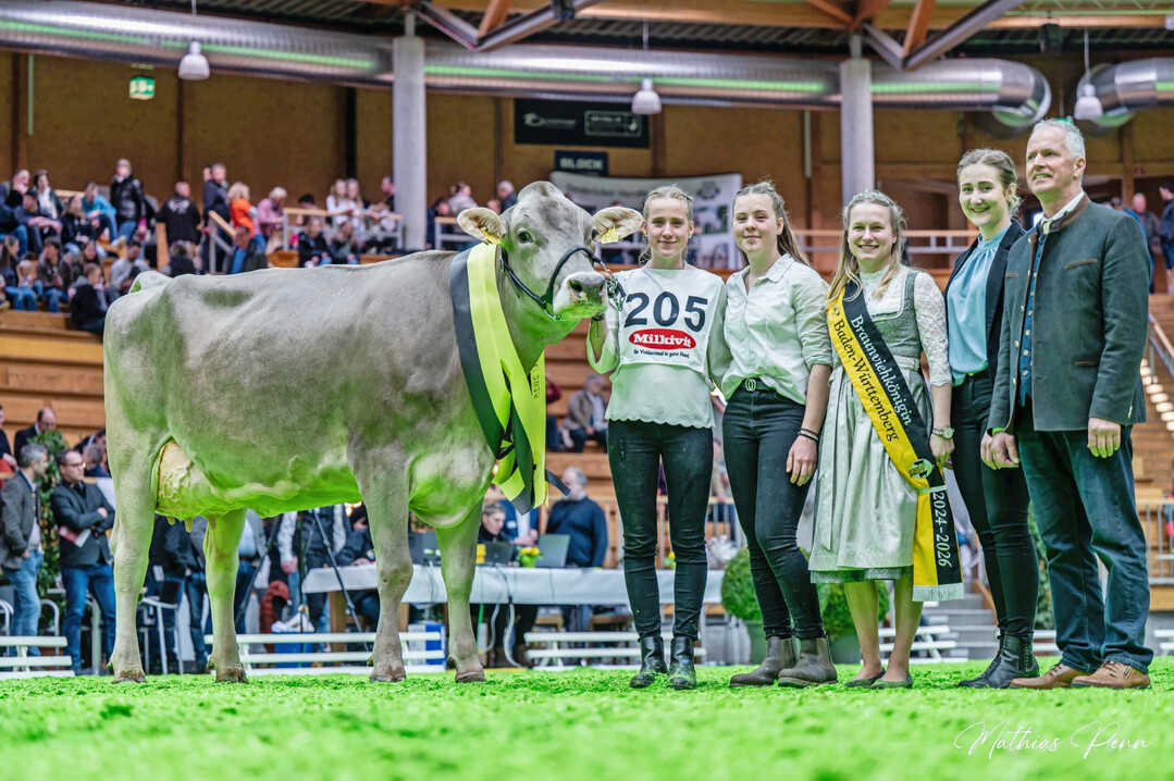 4 Grand Champion bei den Brown Swiss-K�hen wurde die Brownstar-Tochter RAUs BahamaMama aus der Zucht von Ernst Rau aus Ebersbach.