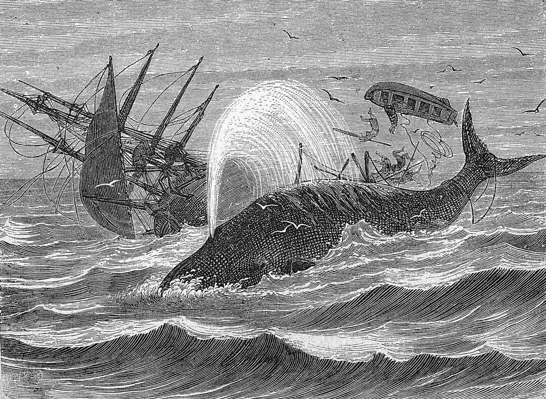 Der Walfang war immer gef�hrlich. Unf�lle waren beim Walfang an der Tagesordnung. 