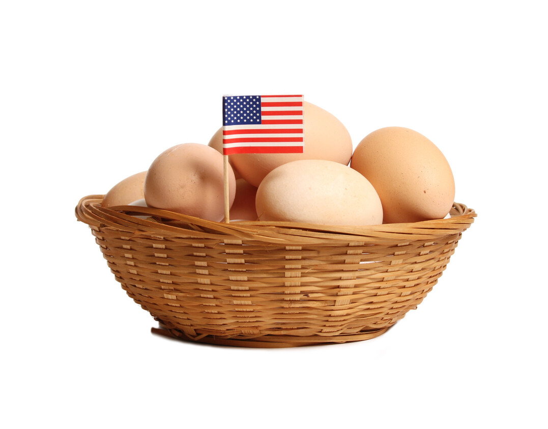 Aufgrund der Vogelgrippe sind in den USA die Eier knapp und teuer. Ein Gesetzentwurf soll Abhilfe bringen.