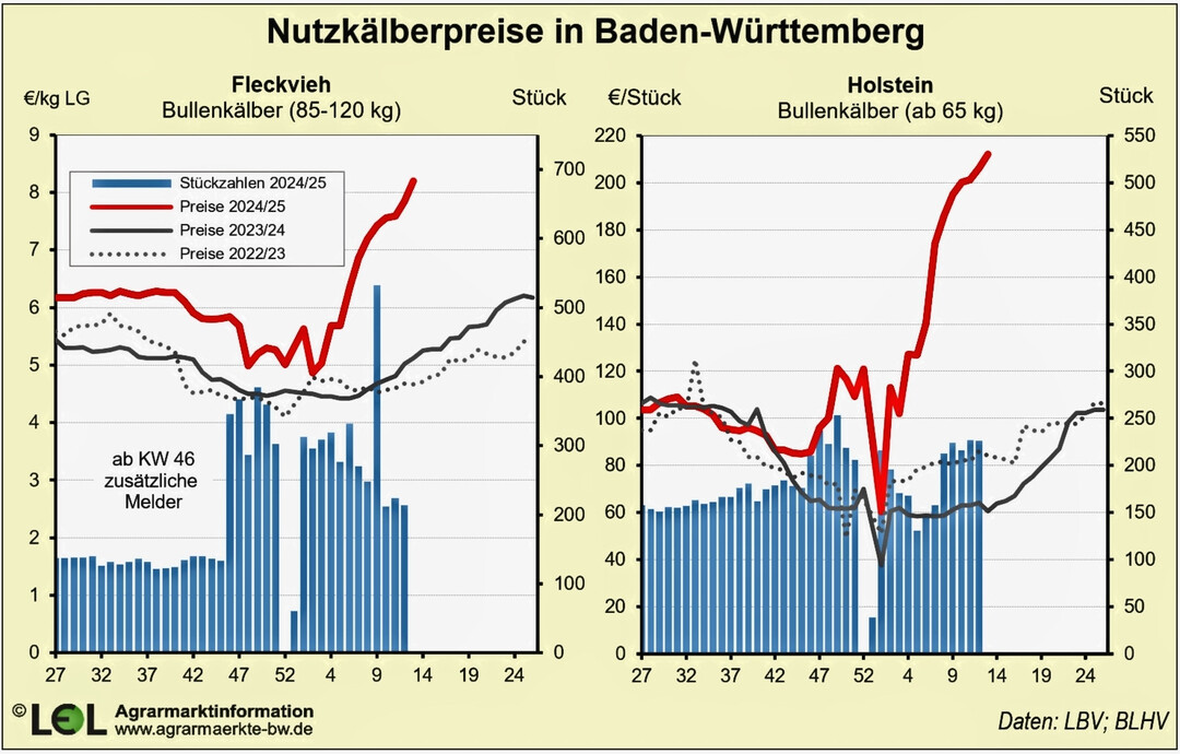 Den fulminanten Preisanstieg zeigt der rote Kurvenverlauf.