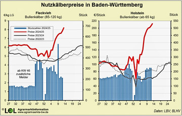 Den fulminanten Preisanstieg zeigt der rote Kurvenverlauf.