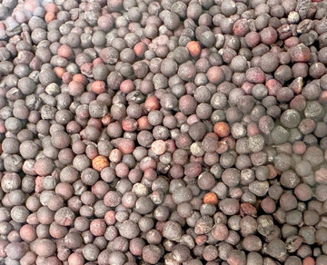 Rapskörner: Global wird 2025 eine weltweite Erzeugung von 88,4 Millionen Tonnen Raps in Aussicht gestellt, ein Plus von knapp 4 Prozent zum Vorjahr.