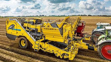 Anbau- und ertragsbedingt d�rften 2025 in Rum�nien beziehungsweise auf dem ganzen Balkan Kartoffeln fehlen, so die Prognosen. 