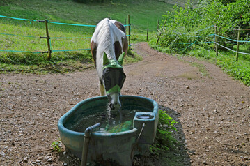 1 Tr�nken sollten regelm��ig gereinigt und nur von Pferden einer Gruppe gemeinsam genutzt werden.