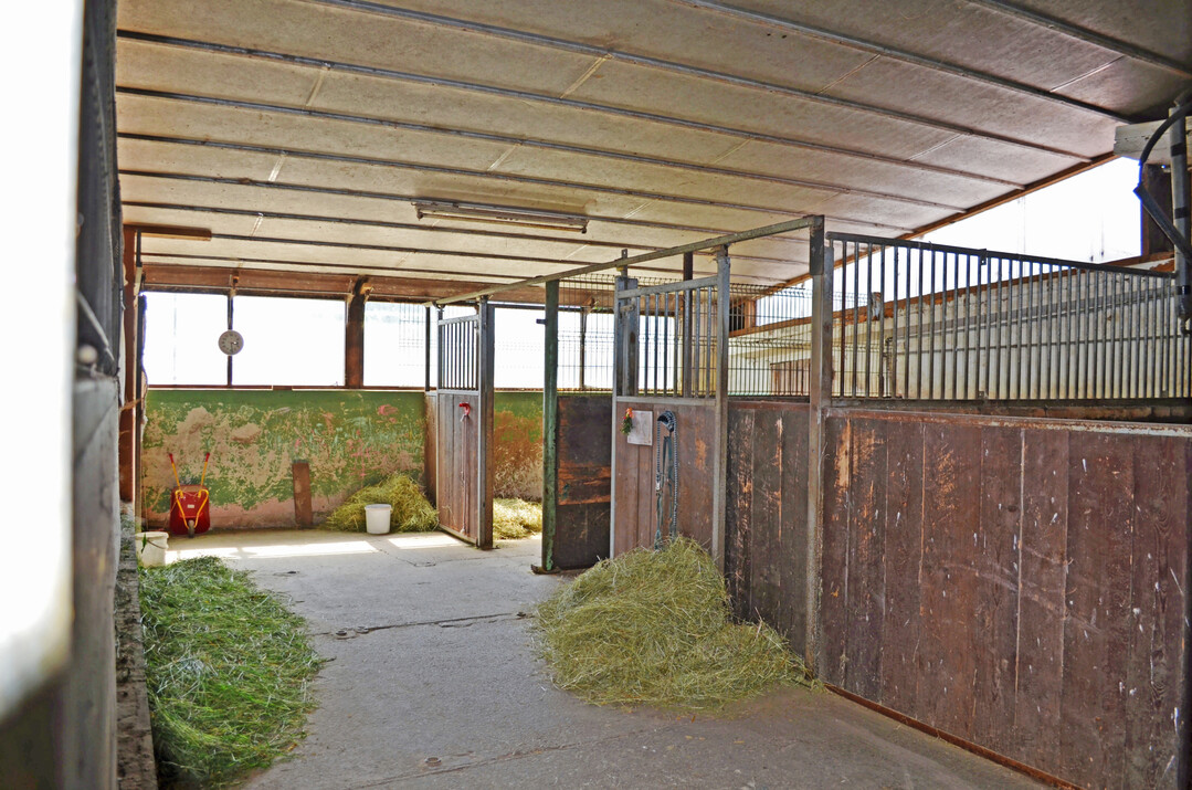 4 Krankenboxen sind idealerweise in Sichtweite der restlichen Pferde, aber ausreichend abseits, um Tröpfcheninfektionen zu verhindern.