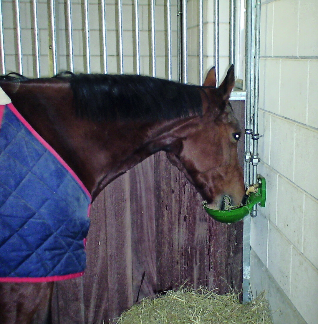 4 Hier wurde unter der Tränke eine Heuportion hingelegt. So landen zu viele Halme im Becken und verschmutzen sie.
