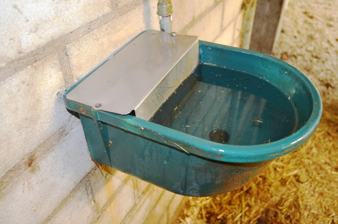 3 Einzeltränken mit Schwimmerventil sind pferdefreundlich, müssen aber regelmäßig genutzt werden, damit das Wasser nicht verunreinigt.