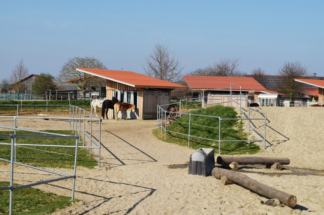 1 Im Gruppenauslauf sollte die Tränke abseits von der Futterstelle platziert werden, aber gleichzeitig nicht zu weit weg.