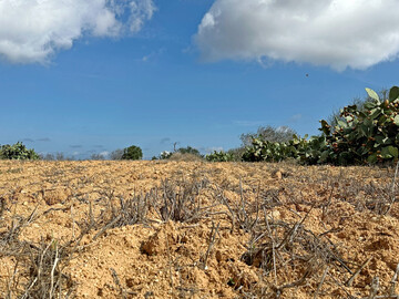 Ackerfl�che im s�dlichen Europa. 