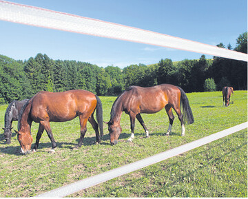 Zur Einzäunung von Pferdeweiden eignen sich Bänder besser als Drähte oder Litzen, da sie von den Tieren gut erkannt werden.