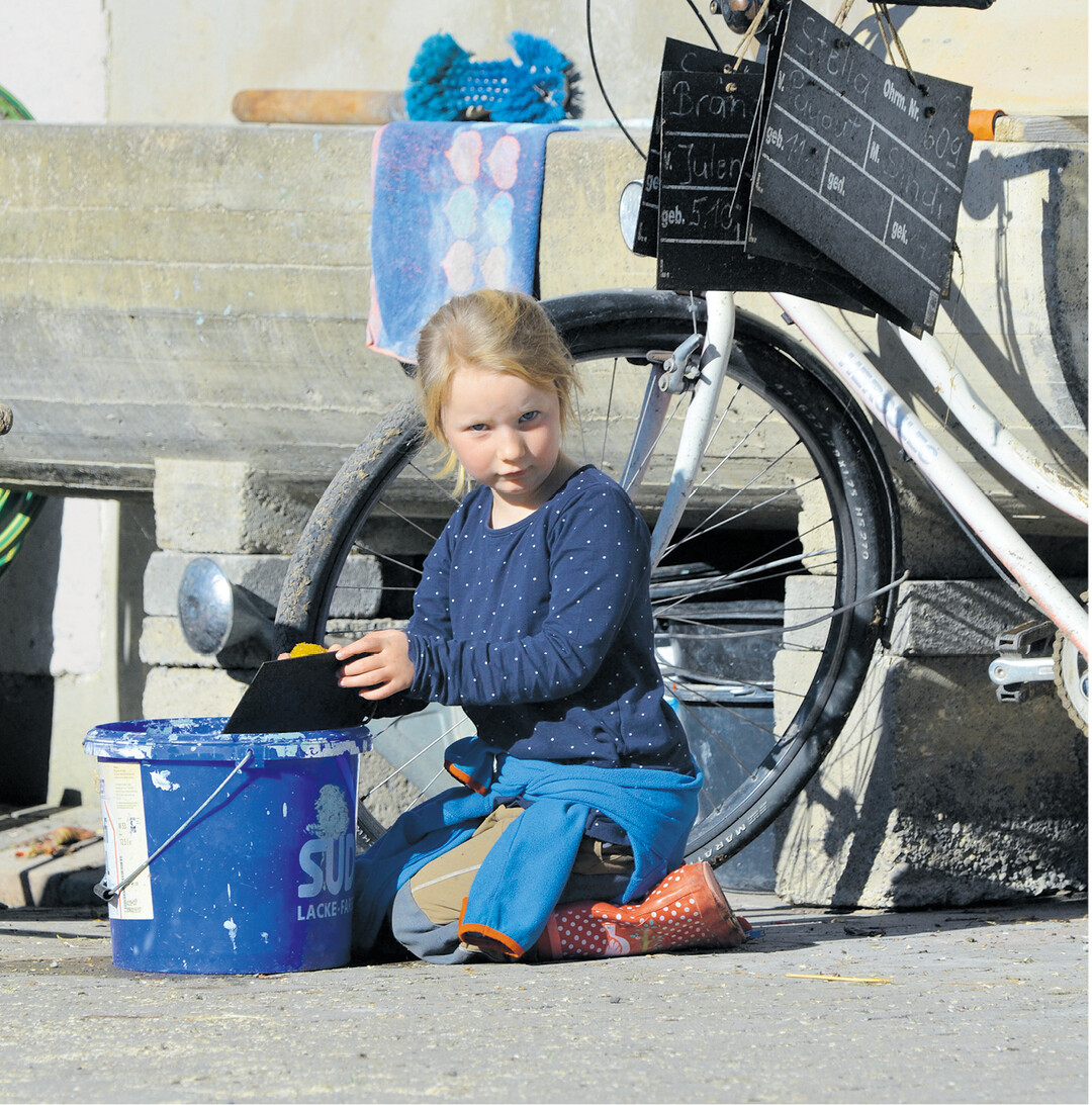 bild der woche Beim Urlaub auf dem Bauernhof d�rfen vielfach Kinder mitschaffen. Hier hat der Bauer eine Aufgabe f�r Helene gefunden, die sie mit ihren sechs Jahren gut selbstst�ndig erledigen kann und die ihr Freude macht. Sie reinigt die Kuhschilder.