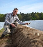 Erfreut - Spargelanbauer Steffen Großhans aus Hockenheim (Baden-Württemberg) beschäftigt seit letzter Woche Saisonarbeitskräfte aus der Gegend.