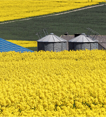 Wer beim Raps bereits die H�lfte der erwarteten Ernte verkauft hat, sollte mit weiteren Vertragsabschl�ssen warten.