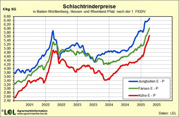 Die Schlachtviehpreise haben seit dem letzten halben Jahr einen fulminanten Preisanstieg zu verzeichnen. Vor allem Kuhfleisch legte im Preis �berproportional zu.