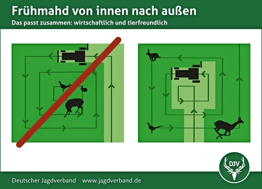 Frühmahd von innen nach außen