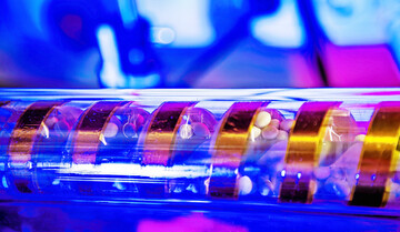 Lupinen Samen werden mithilfe einer direkten Plasmabehandlung von sch�dlichen Mikroorganismen befreit. Das Projekt Physics for Food untersucht verschiedene Plasmaverfahren f�r den Einsatz in der Saatguthygiene. 