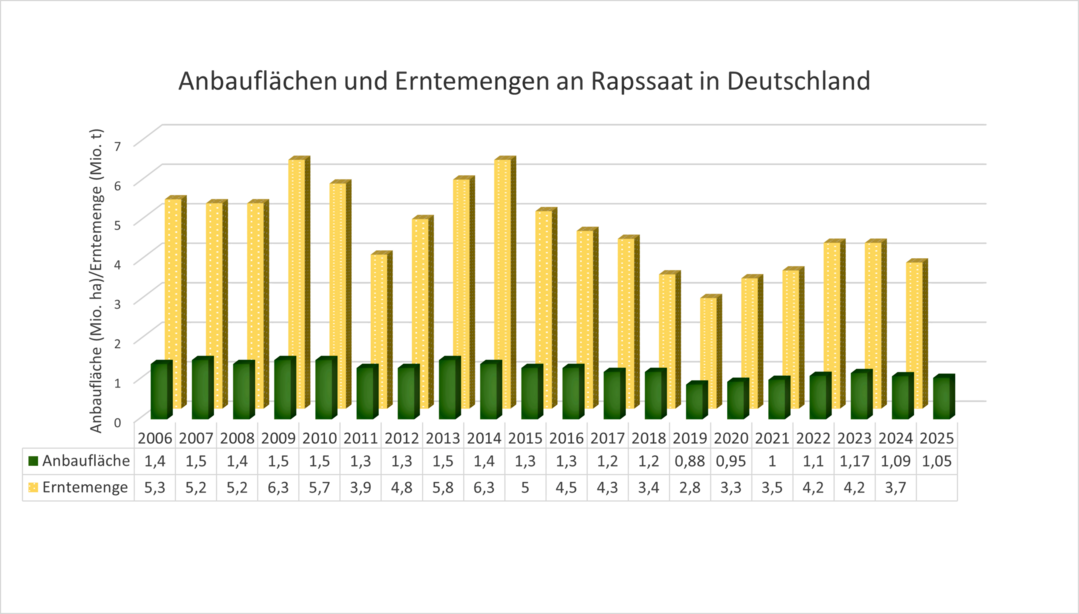 Die Anbaufl�chen f�r Rapssaat liegen in diesem Jahr niedriger als noch ein Jahr zuvor. Entsprechend niedriger werden die Erntemengen f�r die �lfr�chte ausfallen.