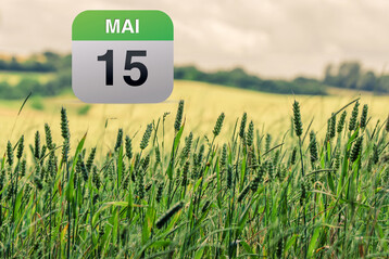 Nicht vergessen: Am 15. Mai endet die Frist zur Abgabe des Gemeinsamen Antrags 2025.