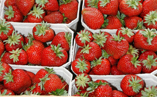 Rot, s�� und frisch vom Feld: So kommen Erdbeeren �berall gut an. 