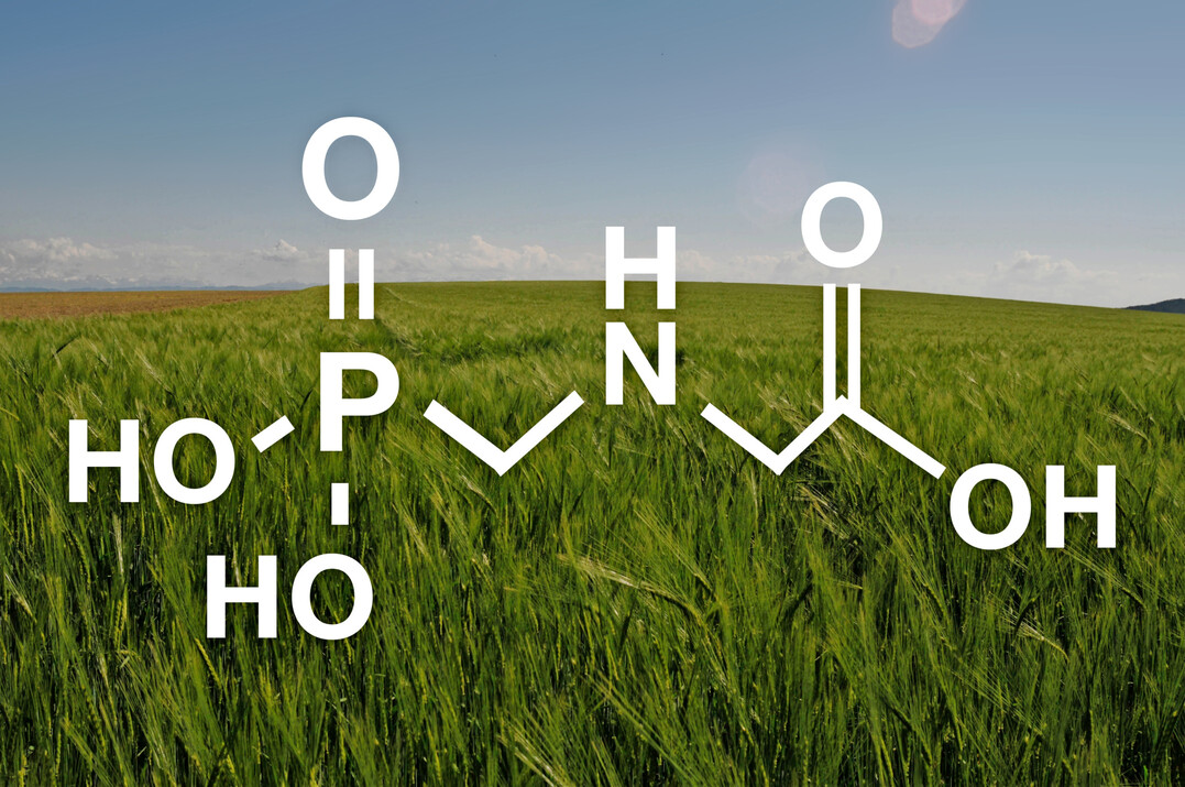 Glyphosat gilt als weltweit meistverwendeter Wirkstoff in Herbiziden.