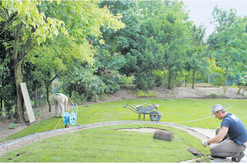 Bei stark beschädigten Rasenflächen hilft nur noch die Neuanlage. Wer nicht wochenlang auf den neuen Rasen warten möchte, legt Rollrasen aus.