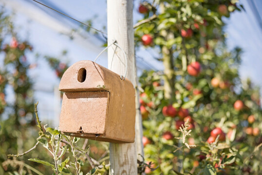 Nistk�sten f�r Singv�gel wurden als Biodiversit�tsma�nahme in den Anlagen ebenfalls  angebracht.